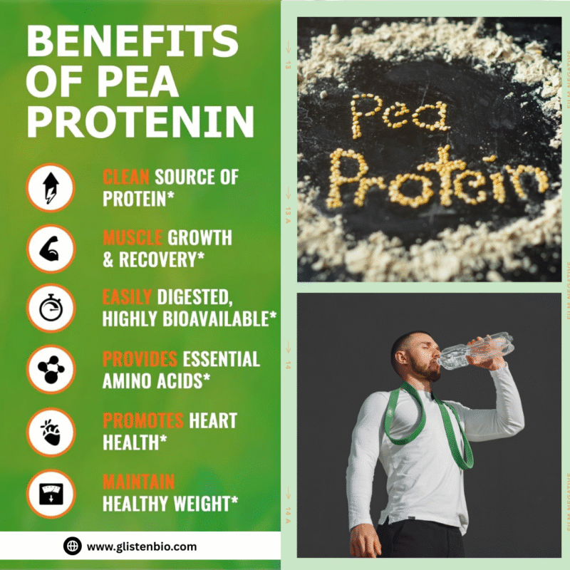 Pea Protein For Muscle Growth
