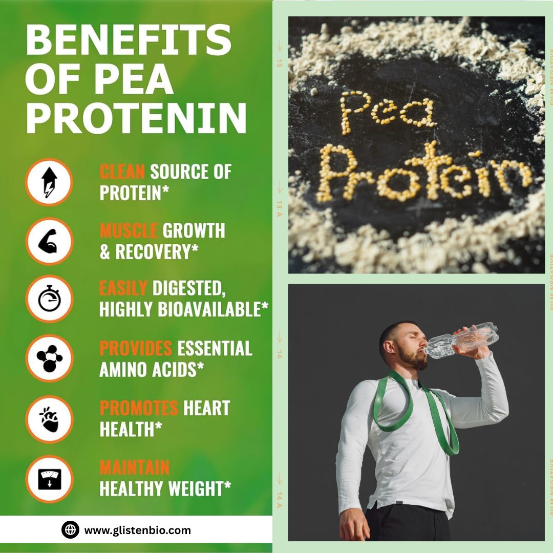 Pea Protein For Muscle Growth